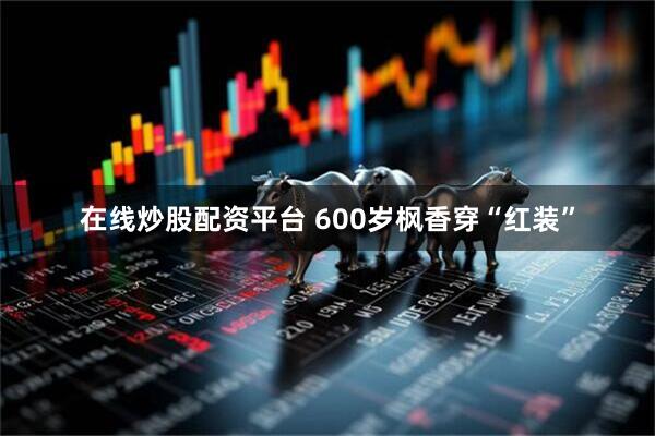 在线炒股配资平台 600岁枫香穿“红装”