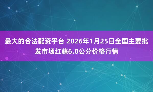 最大的合法配资平台 2026年1月25日全国主要批发市场红蒜6.0公分价格行情